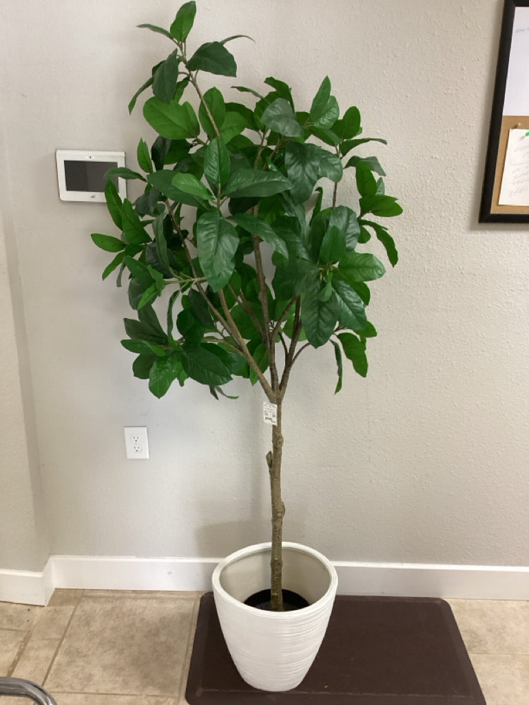 Hall Tree